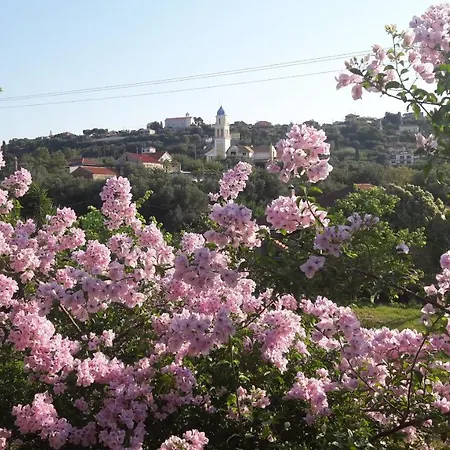 Appartamento Jerry *